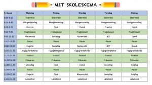 Skema eksempel - 1